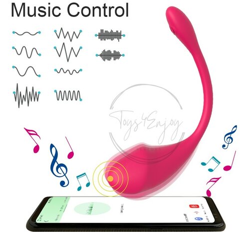 Vibrerend Ei met App voor G-Spot Stimulatie